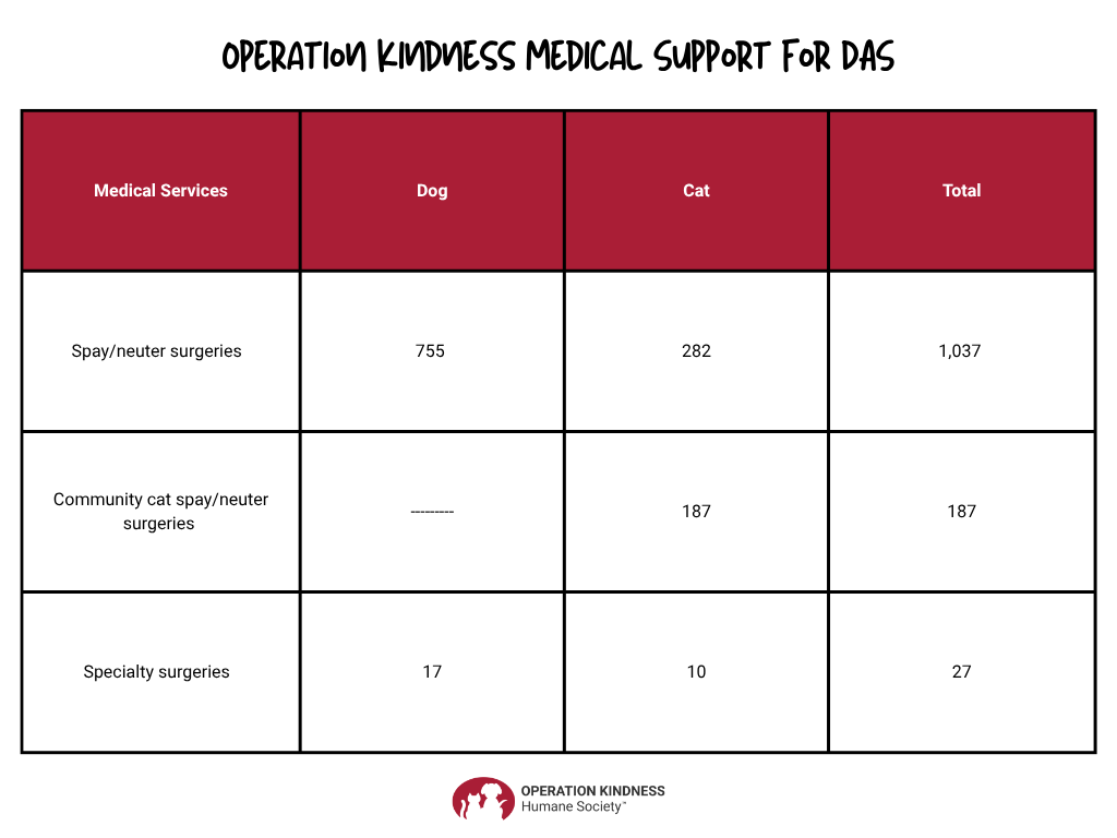 Medical support for DAS