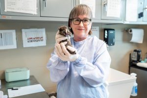 Volunteer holding a kitten