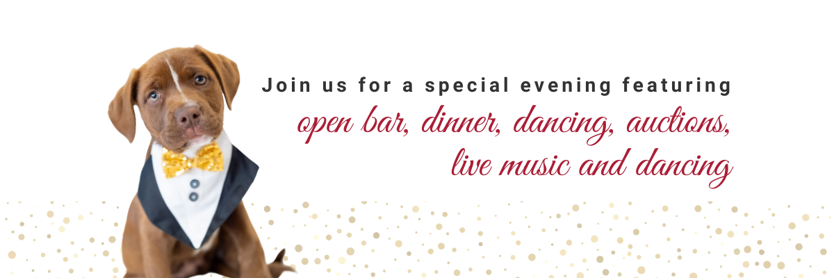 Join us on Saturday, November 1, 2025 at the Sheraton Dallas for a special evening benefiting the animals of Operation Kindness!