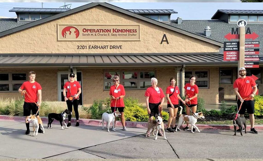 National Canine Fitness Month