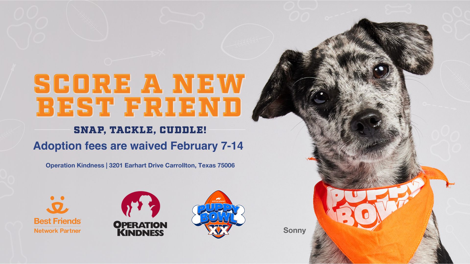 Operation Kindness I Puppy Bowl XX Free Adoptions