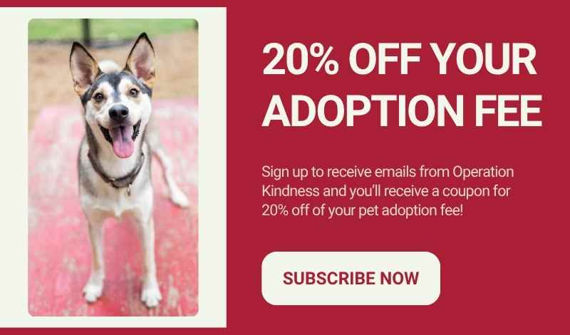 Subscribe to emails to receive 20% off of your pet adoption fee