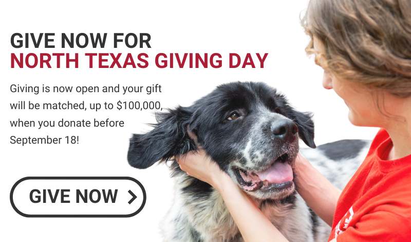 Donate to Operation Kindness on North Texas Giving Day