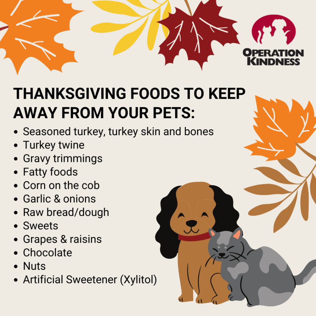 Thanksgiving pet safety tips