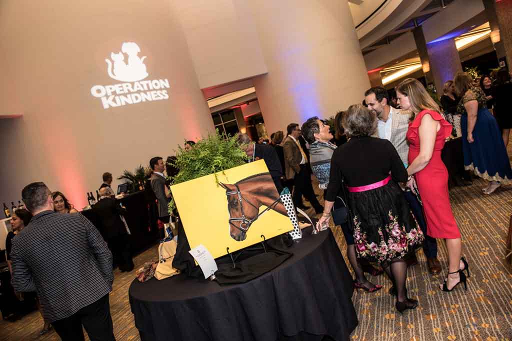 Auction tables at Operation Kindness' fundraising event Canines, Cats and Cabernet supporting homeless animal | No-Kill Animal Shelter and Animal Adoptions