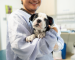 Person holding a black and white puppy