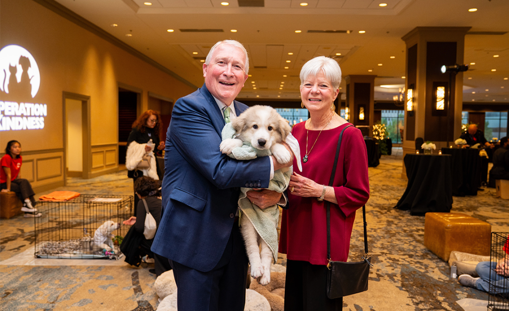 The Board Members Behind Operation Kindness Humane Society