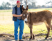 Ed Jamison smiling at camera petting a donkey.