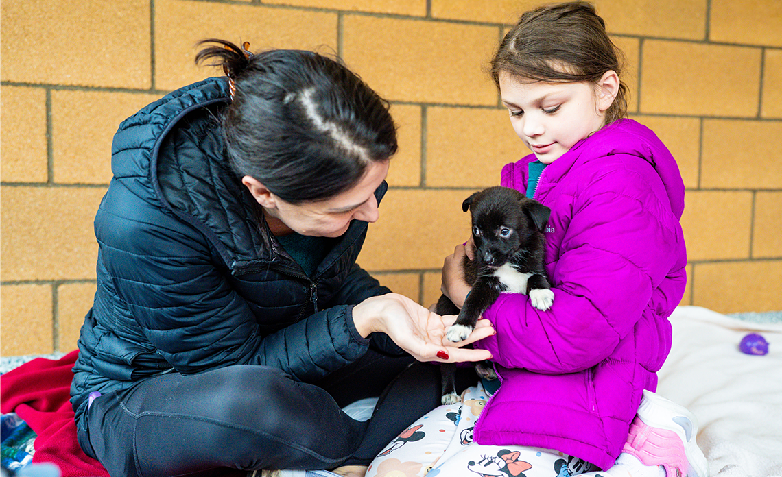 An adult and child playing with a puppy