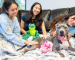 Three people petting a grey and white dog