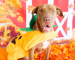 blog-img-flood-dogs-halloween
