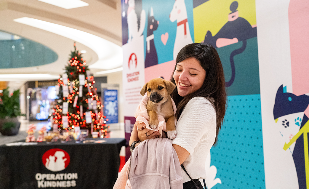 Person holding puppy at Galleria Dallas