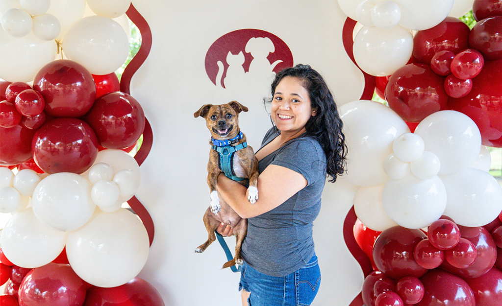 person holding a dog in front of red and white balloons