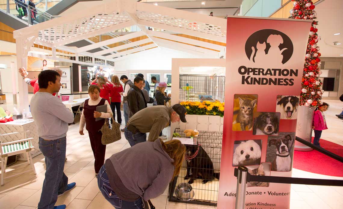 Operation Kindness Blog | Operation Kindness returns to Galleria Dallas for holiday pet adoptions in 2022