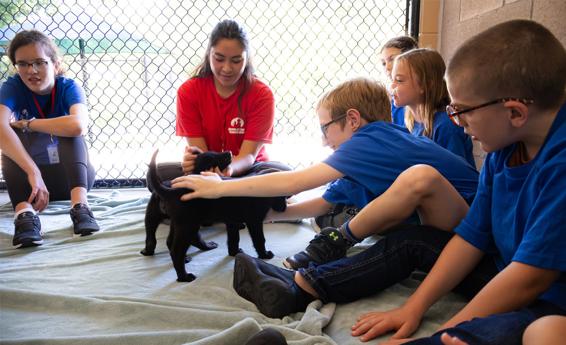 Operation Kindness I Pioneer Paws Summer Camp brings summer fun to the animal shelter