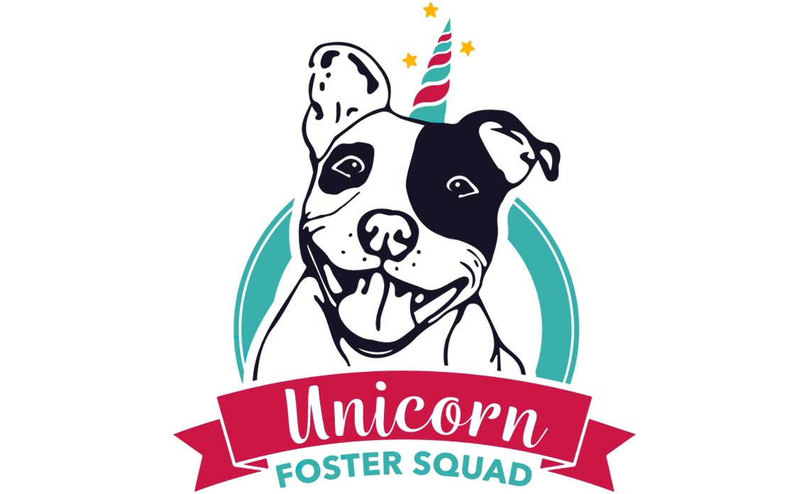 Recruiting Unicorn Foster for Animals with Behavioral Needs | Operation Kindness
