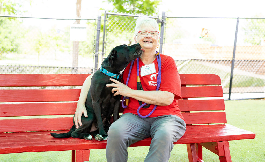 Celebrating 50 Years of Dedicated Volunteers