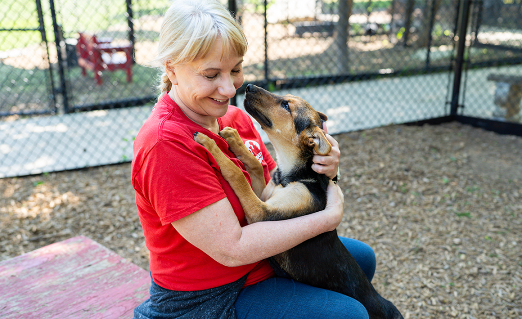 Expanded Volunteer Opportunities at Operation Kindness Humane Society