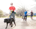 Operation Kindness volunteers walking shelter dogs