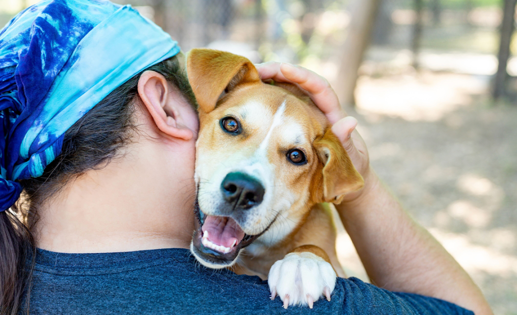 Operation Kindness staff and shelter dog