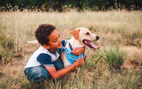 Boomer, an Operation Kindness alumni | North Texas' Leading No-Kill Animal Shelter Success Stories