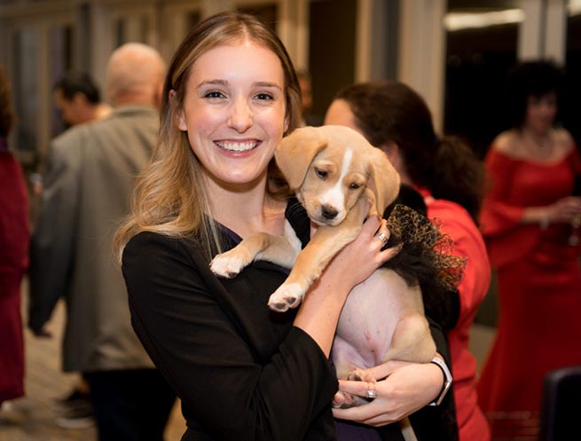 Adoptable puppy and attendee at Operation Kindness' fundraising event Canines, Cats and Cabernet | No-Kill Animal Shelter and Animal Adoptions