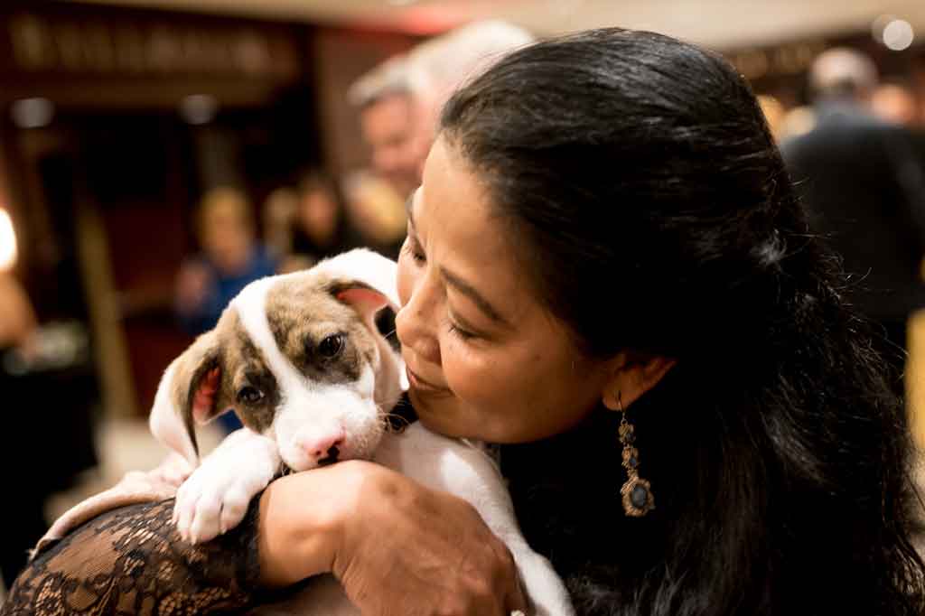 Adoptable puppy and event attendee at Operation Kindness' fundraising event Canines, Cats and Cabernet supporting homeless animal | No-Kill Animal Shelter and Animal Adoptions
