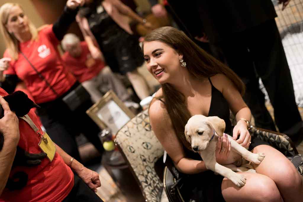 Attendees and adoptable puppy at Operation Kindness' fundraising event Canines, Cats and Cabernet supporting homeless animal | No-Kill Animal Shelter and Animal Adoptions