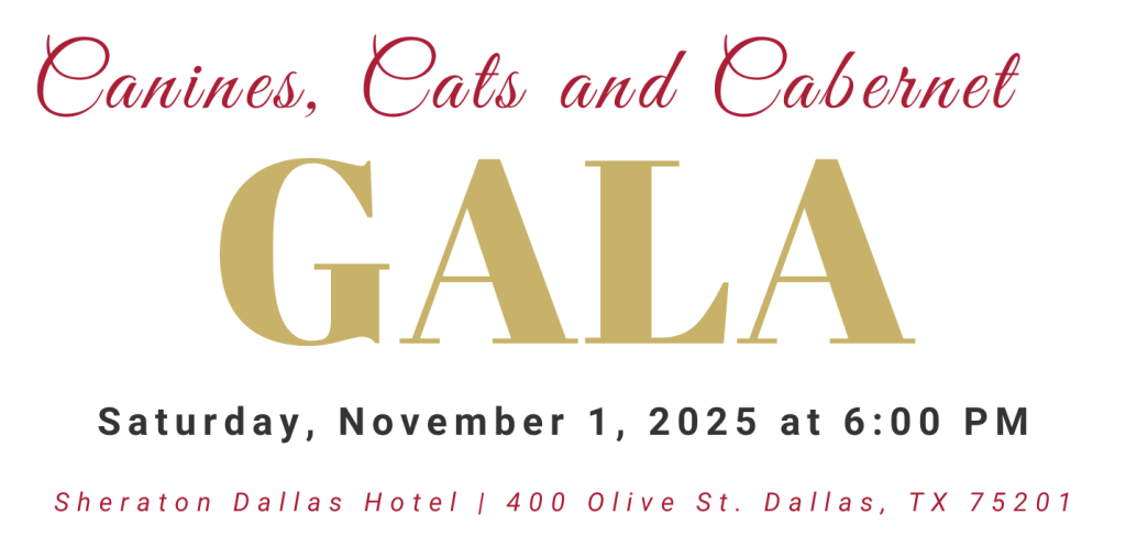 Join us on Saturday, November 1, 2025 at the Sheraton Dallas for a special evening benefiting the animals of Operation Kindness!
