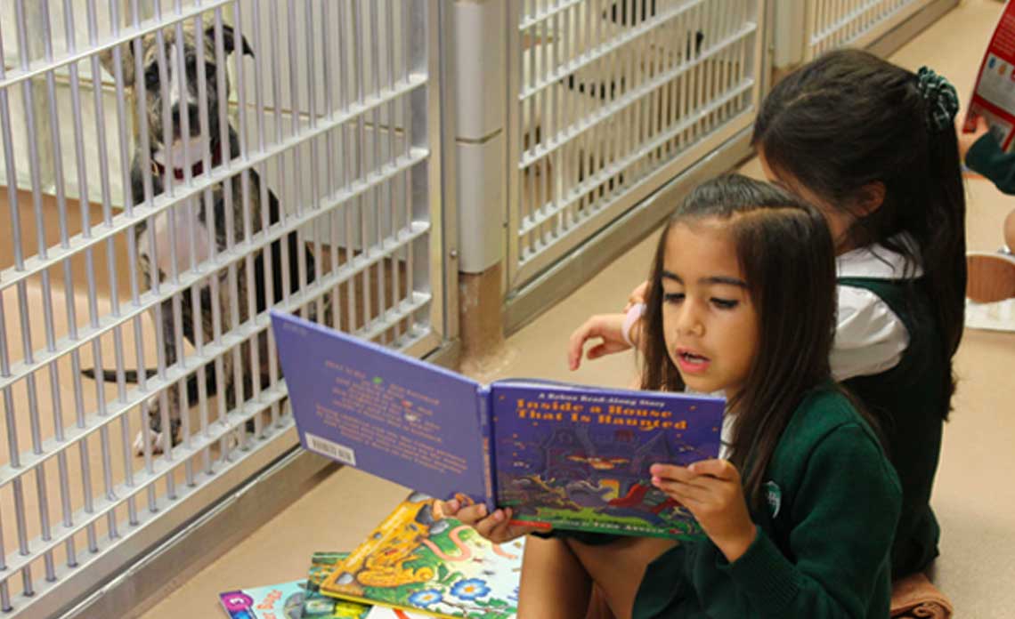 Children of North Texas participating in Operation Kindness' Stories for Pets at their adoption center | Operation Kindness Blog: Stories for Pets