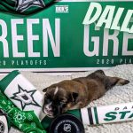 Operation Kindness Gallery: Dallas Stars Puppy Dallas