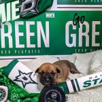 Operation Kindness Gallery: Dallas Stars Puppy Jamie