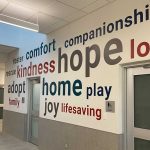 Operation Kindness Gallery | Adoption Lobby