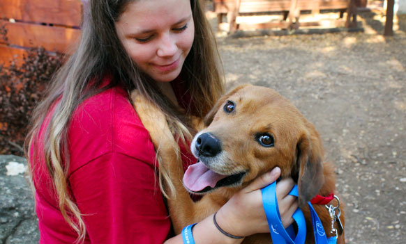 Happy adoptable dog at Operation Kindness, a no-kill animal shelter specializing in dog and cat adoptions