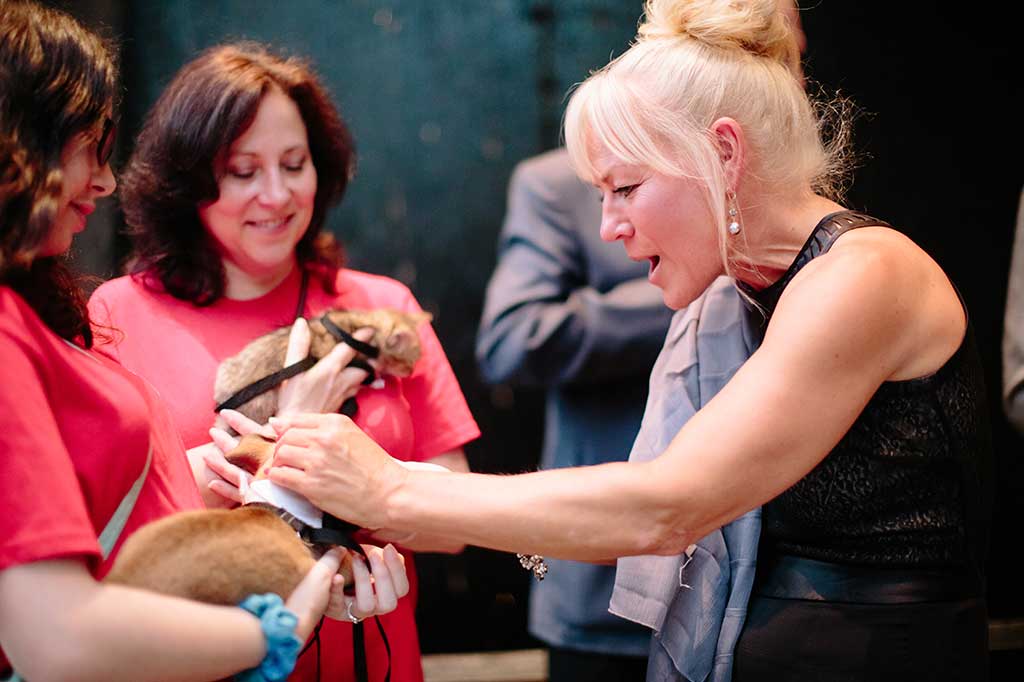 Hope Gala  Operation Kindness North Texas No-Kill Animal Shelter