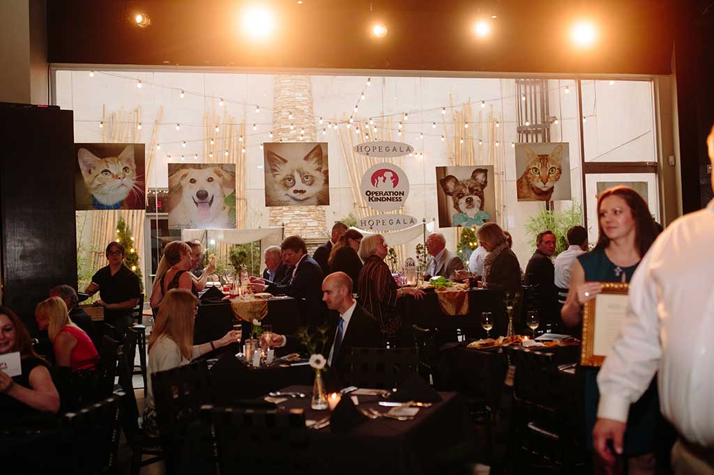 Operation Kindness' fundraising event the Hope Gala supporting homeless animal | No-Kill Animal Shelter and Animal Adoptions