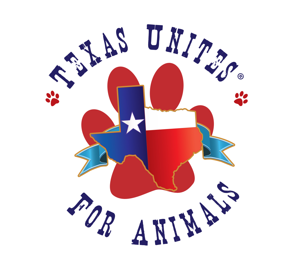 Texas Unites Logo