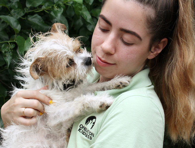 Operation Kindness Shelter Staff Member with Adoptable Dog | North Texas' Leading No-Kill Animal Shelter and Adoption Center