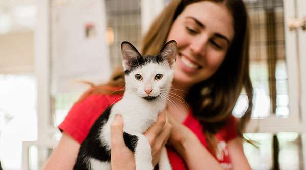 Adoptable kitten with an Operation Kindness staff member at their North Texas No-Kill Animal Shelter