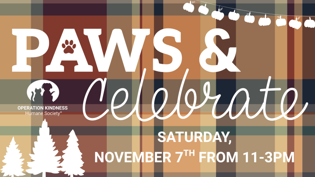 paws and celebrate - holiday market (1640 x 924 px)
