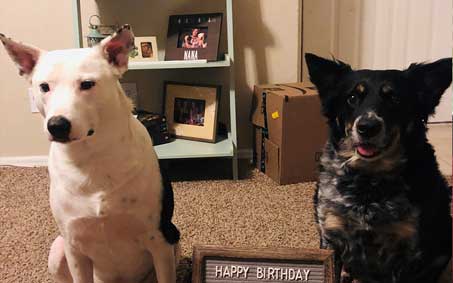 Plissken and Trudy, an Operation Kindness alumni | North Texas' Leading No-Kill Animal Shelter Success Stories