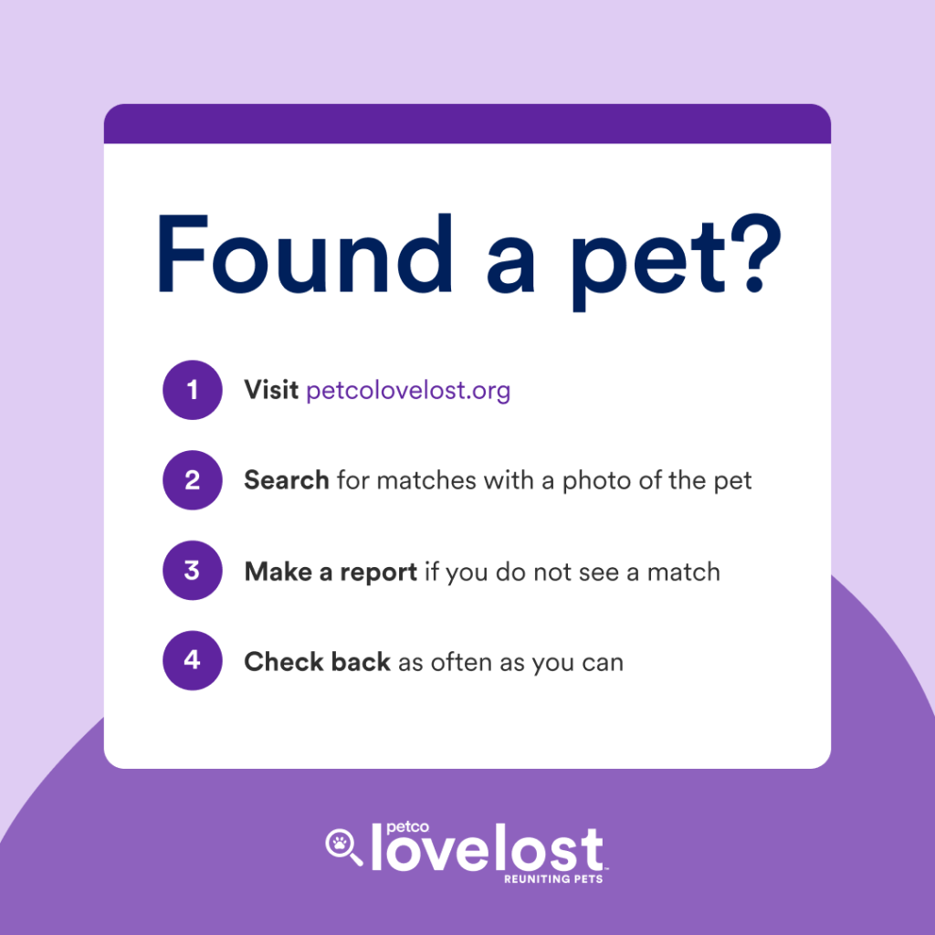 Petco Love Lost Found Pet Resources