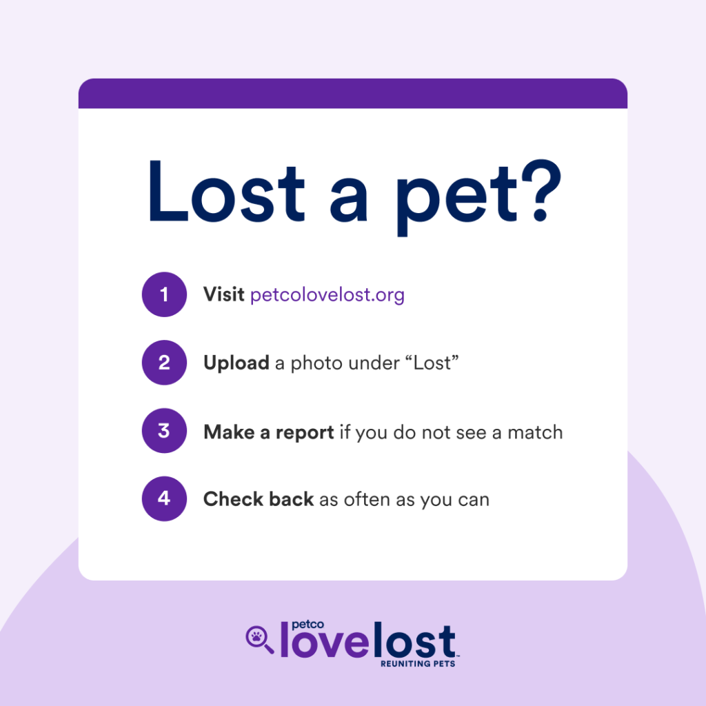 Petco Love Lost lost pet resources