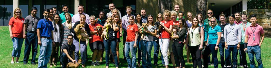 Texas Instruments staff during a corporate group volunteer session at Operation Kindness' North Texas no-kill animal shelter