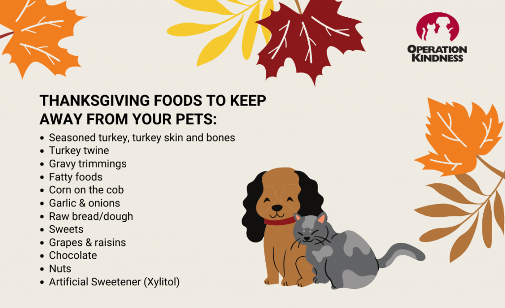 Operation Kindness Blog | North Texas No-Kill Animal Shelter | Thanksgiving Pet Safety Tips