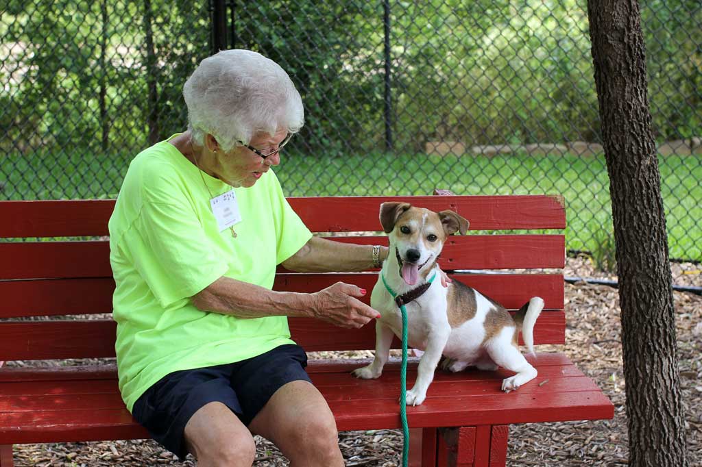 Volunteer sitting with a dog on a bench at Operation Kindness