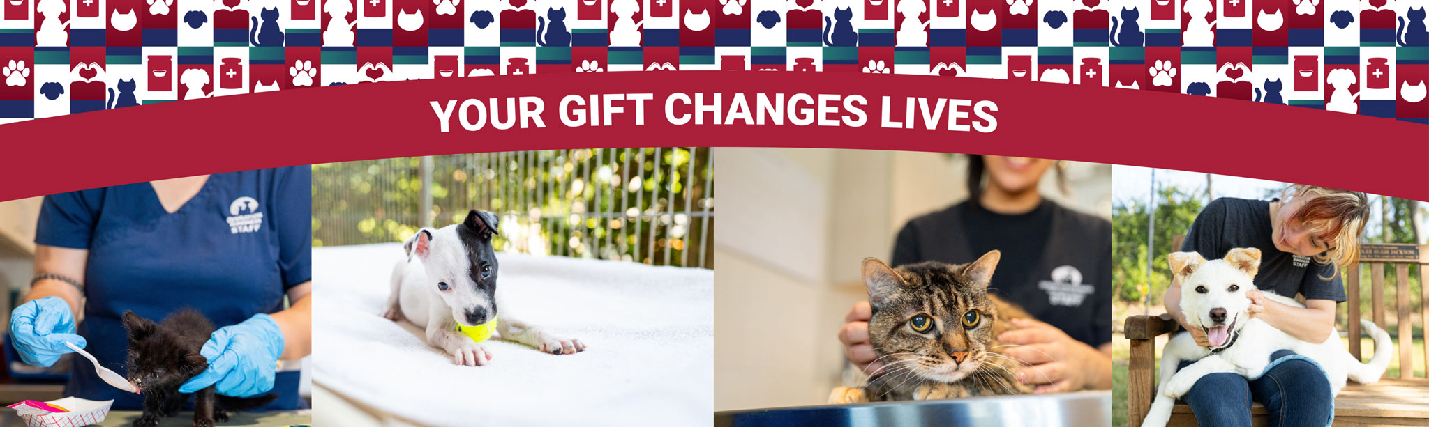 Your Gift Changes Lives | Operation Kindness